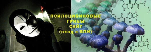 гашик Козловка