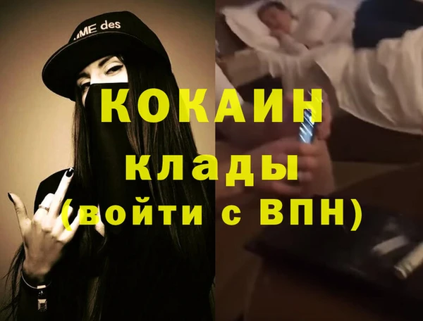 гашик Козловка