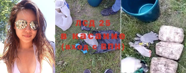 гашик Козловка
