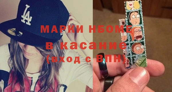 гашик Козловка