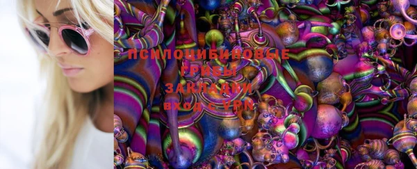 гашик Козловка